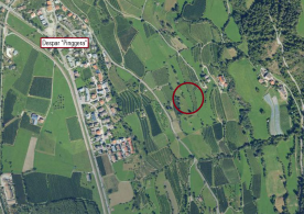 Schluderns: Obstbaufähiges Grundstück mit 3.100 m² zu verkaufen