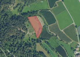 Prad am Stilfserjoch/Agums: Landwirtschaftliches Grundstück mit ca. 4.300 m² zu verkaufen