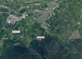 Latsch: Obstwiese mit ca. 5.600 m² zu verkaufen