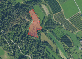 Prad am Stilfserjoch/Agums: Weide mit ca. 5.240 m² zu verkaufen