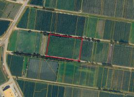 Laas/Tschengls: Obstwiese mit ca. 7.500 m² zu verkaufen