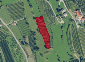 Schluderns: Obstbaufähiges Grundstück mit 3.100 m² zu verkaufen