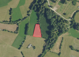 Taufers im Münstertal: Landwirtschaftliches Grundstück mit ca. 1.300 m² zu verkaufen