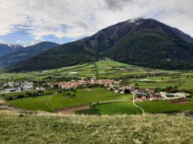 Glurns: Obstwiese mit ca. 3.000 m² zu verkaufen