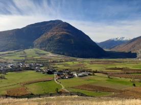 Glurns: Wiese mit ca. 3.900 m² zu verkaufen