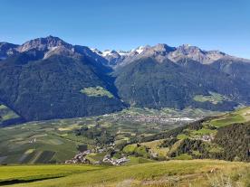 Laas: Obstwiese mit ca. 3.900 m² zu verkaufen