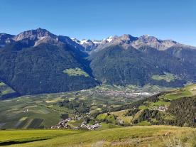 Laas: Obstwiese mit ca. 5.900 m² zu verkaufen