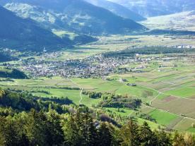 Laas / Tschengls: Obstwiese mit ca. 2.410 m² zu verkaufen