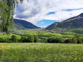 Landwirtschaftliches Grundstück mit ca. 2.900 m² bei Glurns zu verkaufen