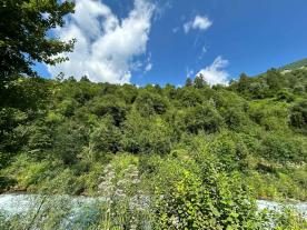 Martell - Wald in guter Lage zu verkaufen