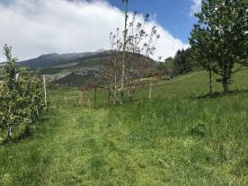 Obstbaufähige Wiese am Dorfrand von Schluderns zu verkaufen