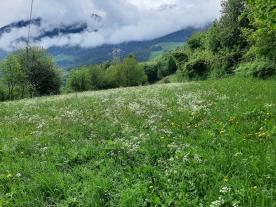 Prad/Agums: Landwirtschaftliches Grundstück mit ca. 4300 m² zu verkaufen