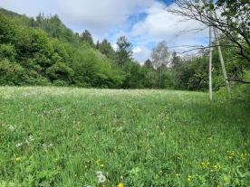 Prad/Agums: Landwirtschaftliches Grundstück mit ca. 4300 m² zu verkaufen
