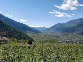 Schlanders/Göflan: Obstwiese mit ca. 5.670 m² zu verkaufen