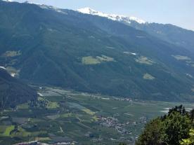 Tabland: Obstwiese mit ca. 1.750 m²  zu verkaufen 