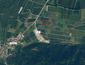 Laas/Tschengls: Obstwiese mit ca. 7.500 m² zu verkaufen