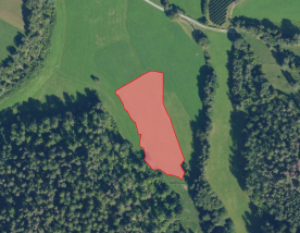 Prad: Landwirtschaftliches Grundstück mit ca. 5.000 m² zu verkaufen
