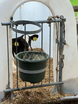 Bauernhof in Taufers im Münstertal zu verkaufen