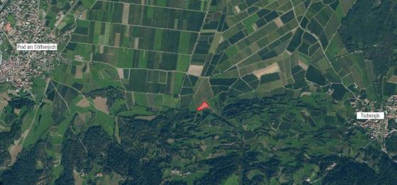 Laas / Tschengls: Obstbaufähige Wiese mit ca. 3.500 m² zu verkaufen