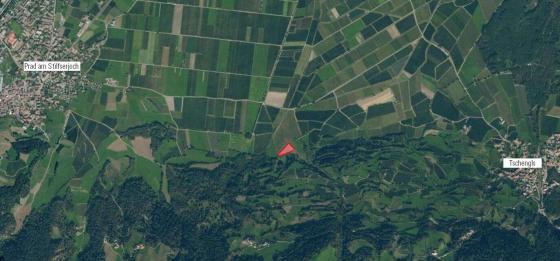 Laas / Tschengls: Obstbaufähige Wiese mit ca. 3.500 m² zu verkaufen Laas / Tschengls: Obstbaufähige Wiese mit ca. 3.500 m² zu verkaufen