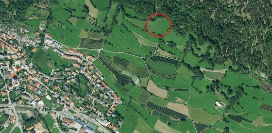 Wiese in Mals am Sonnenhang zu verkaufen Wiese in Mals am Sonnenhang zu verkaufen