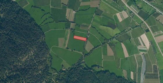 Glurns: Ackerweide mit ca. 3.800 m² zu verkaufen