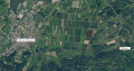 Laas / Tschengls: Obstwiese mit ca. 2.410 m² zu verkaufen Laas / Tschengls: Obstwiese mit ca. 2.410 m² zu verkaufen