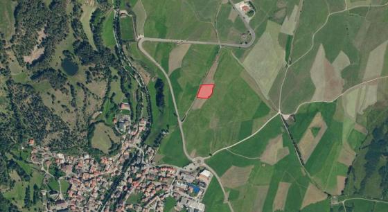 Mals / Burgeis: Landwirtschaftliches Grundstück mit ca. 3.300 m² zu verkaufen