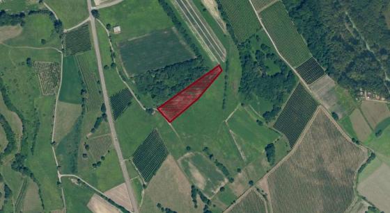 Prad / Lichtenberg: Landwirtschaftliches Grundstück mit ca. 5.200 m² zu verkaufen