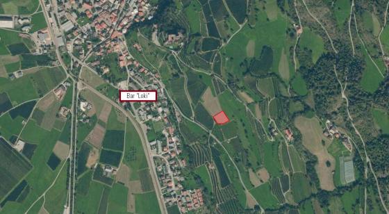 Obstbaufähige Wiese am Dorfrand von Schluderns zu verkaufen Obstbaufähige Wiese am Dorfrand von Schluderns zu verkaufen