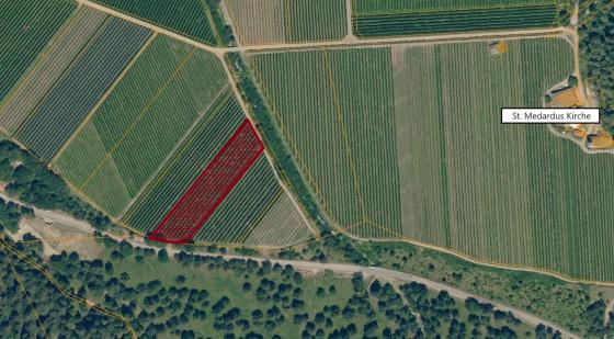 Obstwiese mit ca. 4.200 m² in Tarsch zu verkaufen Obstwiese mit ca. 4.200 m² in Tarsch zu verkaufen