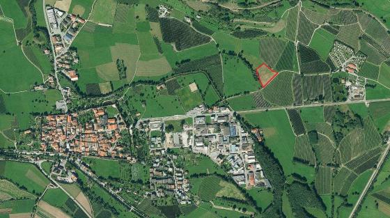 Wiese, ideal für den Obstanbau Wiese, ideal für den Obstanbau