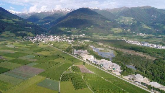 Bio zertifizierte Wiese in Prad Bio zertifizierte Wiese in Prad