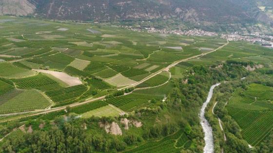 Kortsch: Obstwiese mit ca. 4.700 m² zu verkaufen Kortsch: Obstwiese mit ca. 4.700 m² zu verkaufen