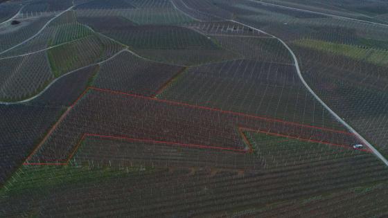 Obstwiese mit ca. 7.500 m² in Morter zu verkaufen Ansicht von oben in Richtung Schlanders