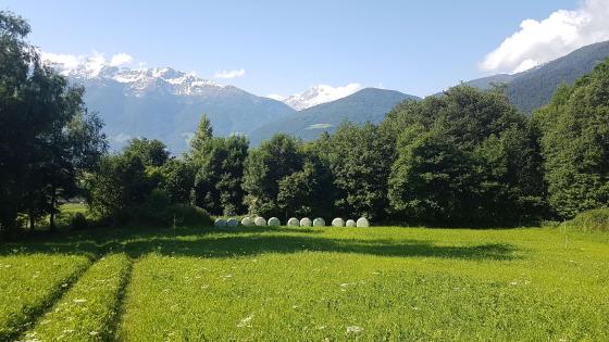 Tartsch: Wiese mit 4.000 m² zu verkaufen Tartsch: Wiese mit 4.000 m² zu verkaufen