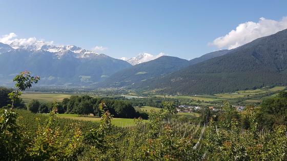 Tartsch: Wiese mit 7.180 m² zu verkaufen Tartsch: Wiese mit 7.180 m² zu verkaufen