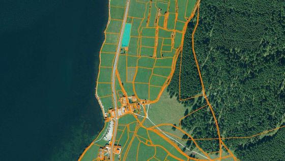 St. Valentin - Wiese direkt neben dem Haider See St. Valentin - Wiese direkt neben dem Haider See