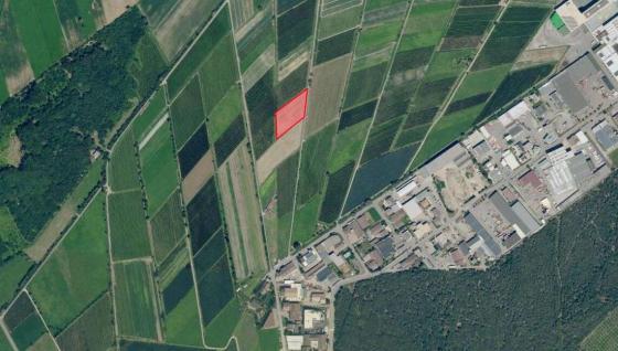 Prad am Stilfserjoch: Landwirtschaftliches Grundstück mit ca. 4.600 m² zu verkaufen