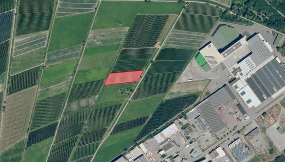 Obstwiese in Prad, nähe der Genossenschaft in sehr guter Lage zu verkaufen Obstwiese in Prad, nähe der Genossenschaft in sehr guter Lage zu verkaufen