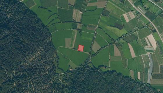 Landwirtschaftliches Grundstück mit ca. 2.900 m² bei Glurns zu verkaufen Landwirtschaftliches Grundstück mit ca. 2.900 m² bei Glurns zu verkaufen