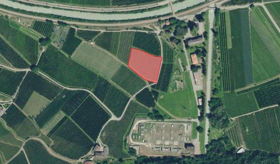 Kastelbell: Obstwiese mit ca. 5.200 m² zu verkaufen Kastelbell: Obstwiese mit ca. 5.200 m² zu verkaufen