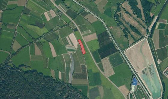 Wiese mit ca. 3.800 m² in Glurns zu verkaufen Wiese mit ca. 3.800 m² in Glurns zu verkaufen