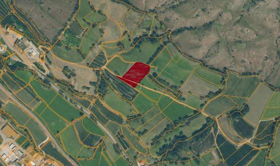 Schluderns: Landwirtschaftliches Grundstück mit ca. 3.300 m² zu verkaufen Schluderns: Landwirtschaftliches Grundstück mit ca. 3.300 m² zu verkaufen
