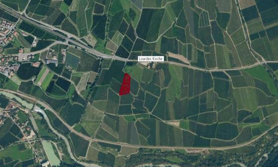 Laas: Obstwiese mit ca. 5.300 m² zu verkaufen Laas: Obstwiese mit ca. 5.300 m² zu verkaufen