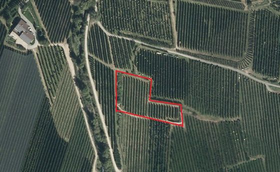 Obstwiese in Goldrain zu verkaufen Obstwiese in Goldrain zu verkaufen