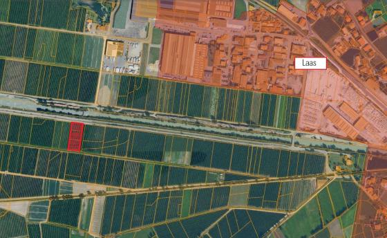 Obstwiese mit ca. 3.147 m² in Laas zu verkaufen Obstwiese mit ca. 3.147 m² in Laas zu verkaufen