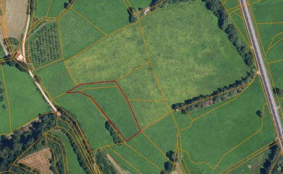 Wiese mit 2.600 m² in KG Lichtenberg Wiese mit 2.600 m²
