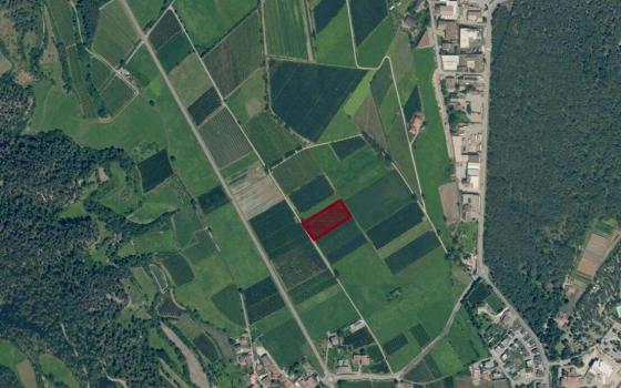 Prad am Stilfserjoch: Obstwiese mit 4.880 m² zu verkaufen