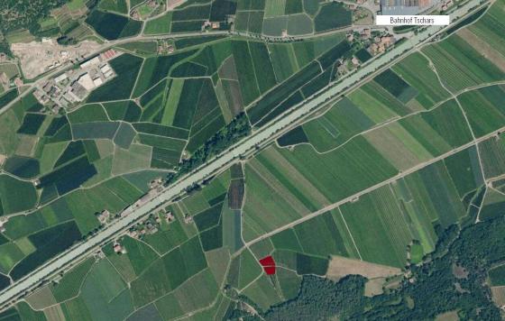 Kastelbell / Tschars: Obstwiese mit ca. 2.000 m² zu verkaufen Kastelbell / Tschars: Obstwiese mit ca. 2.000 m² zu verkaufen